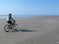29733RoCrLe - Vacation at Kiawah Island, SC - Beach bike ride with Beth  Peter Rhebergen - Each New Day a Miracle